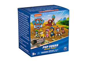 Paw Patrol Pup Squad Figure Rescue Wheels Assorted