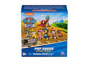 Paw Patrol Pup Squad Figure Rescue Wheels Assorted