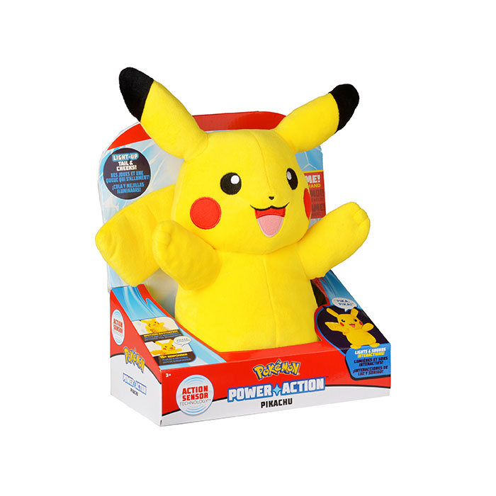 the pokemon toys