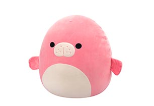 Squishmallow 5inch Plush ( Wave 21)