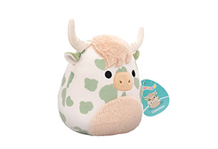 Squishmallow 10inch S20 Asst B